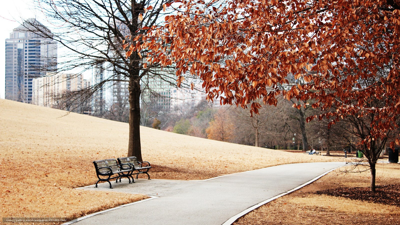 Autumn park with city view