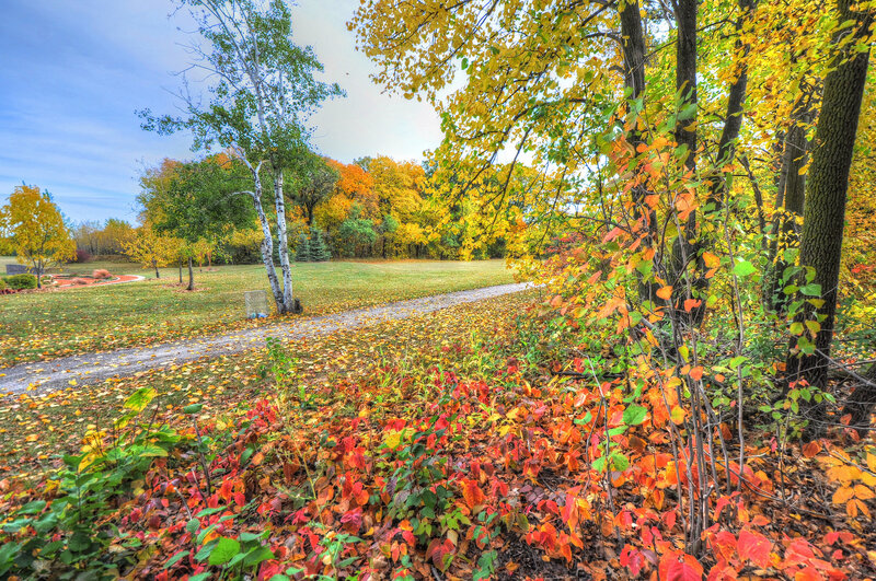 Autumn park with colorful foliage