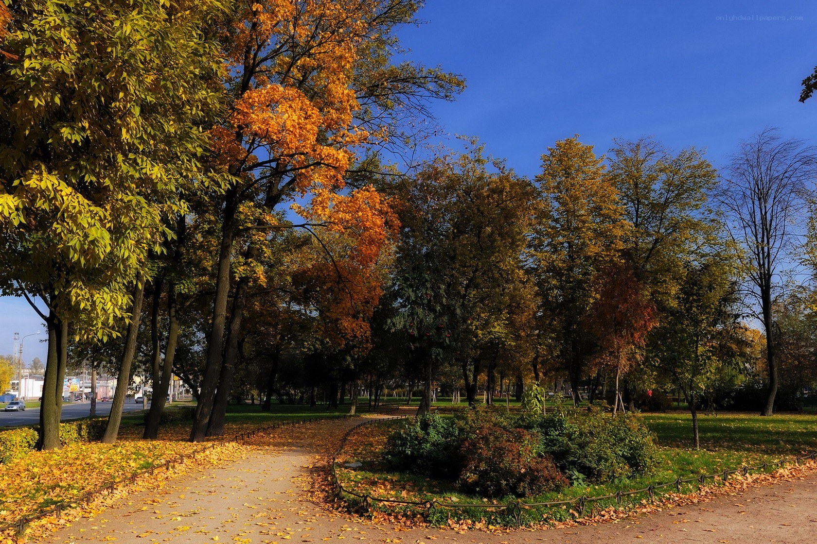 Autumn park with colorful trees