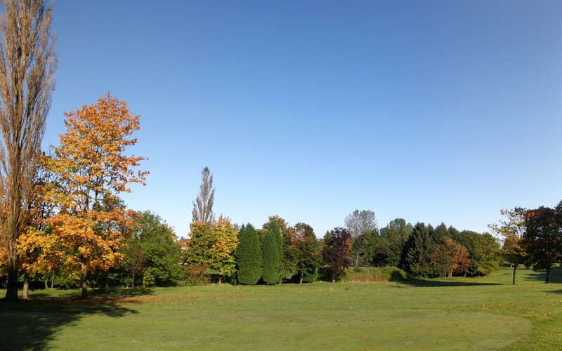 Autumn park with colorful trees