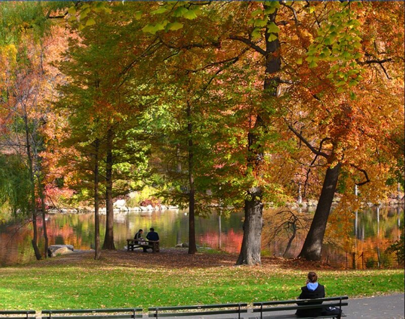 Autumn park with colorful trees