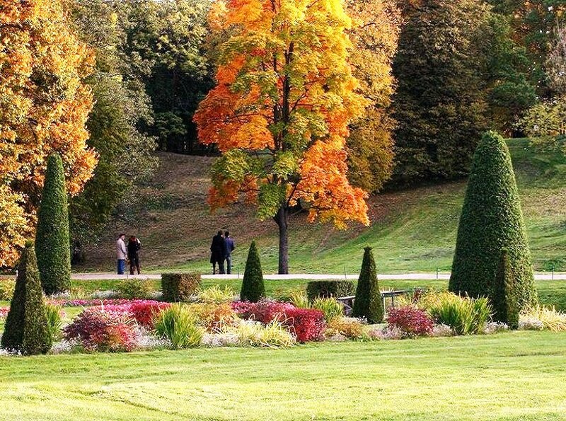 Autumn park with colorful trees