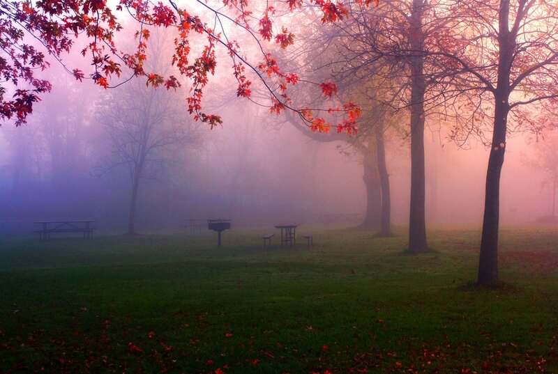Autumn Park with Fog