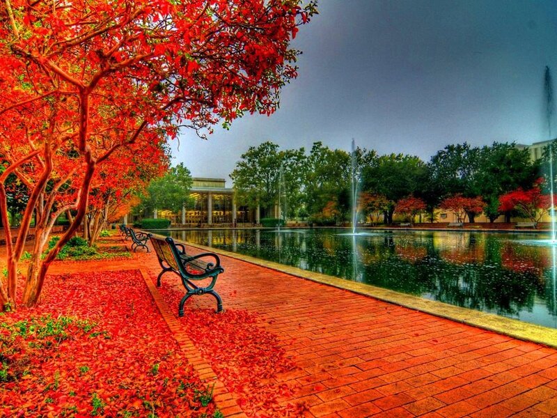 Autumn park with fountain