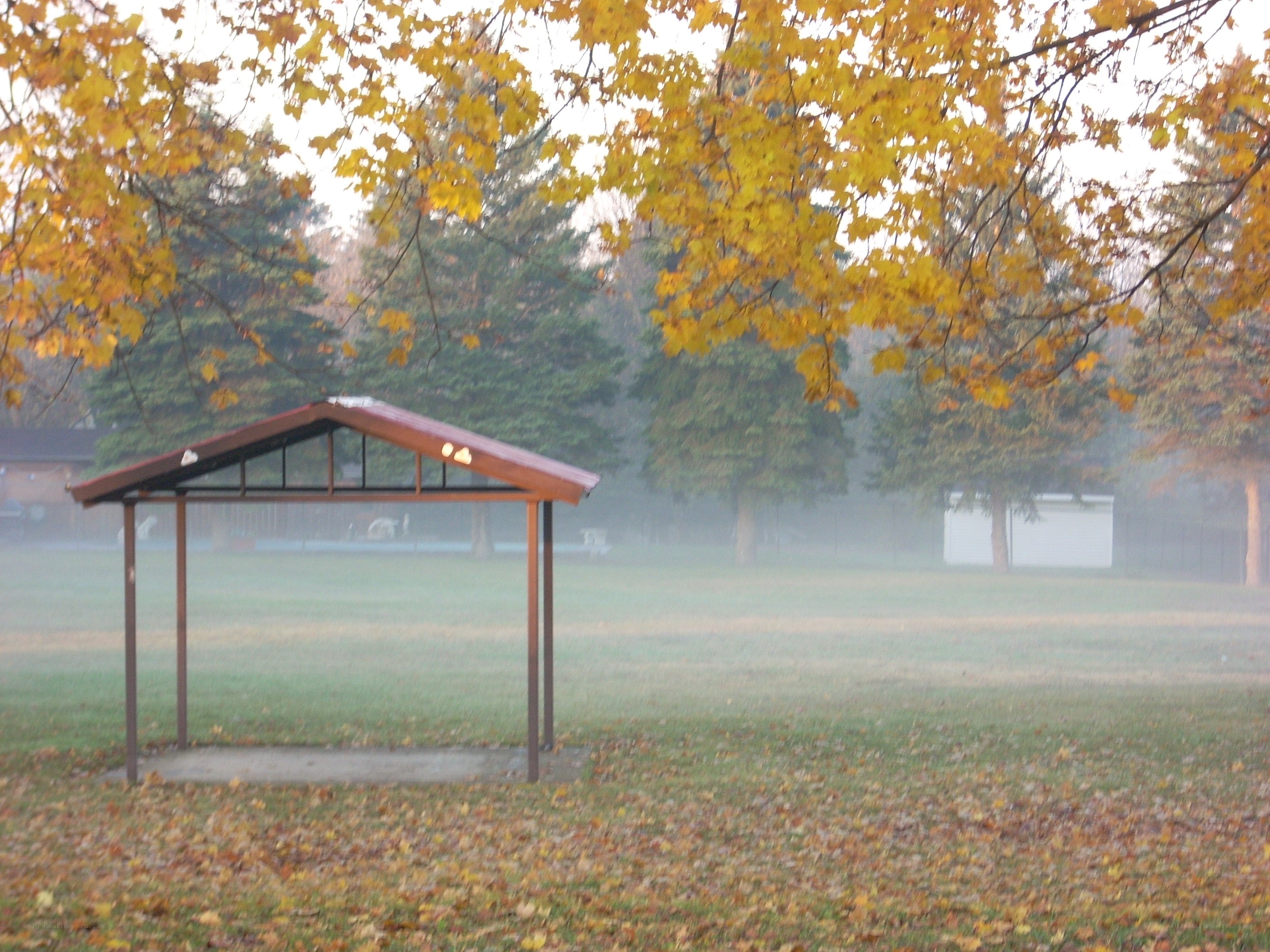 Autumn park with gazebo