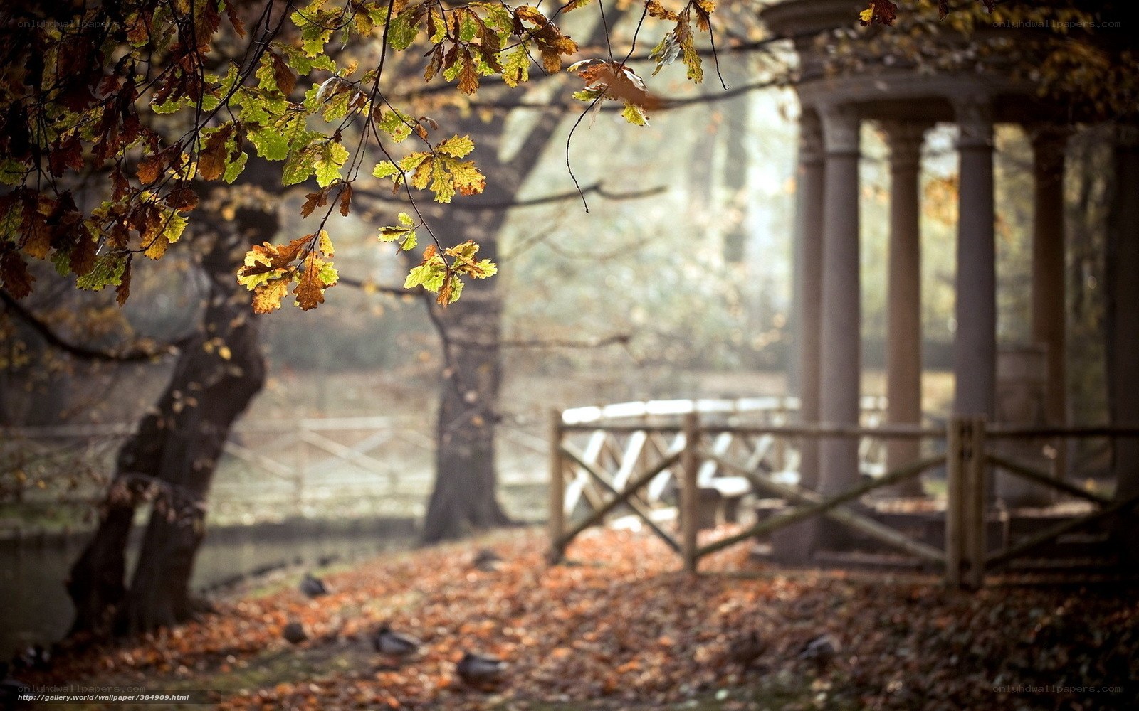 Autumn park with gazebo