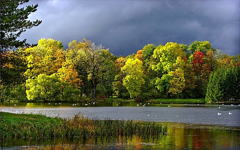 Autumn park with lake