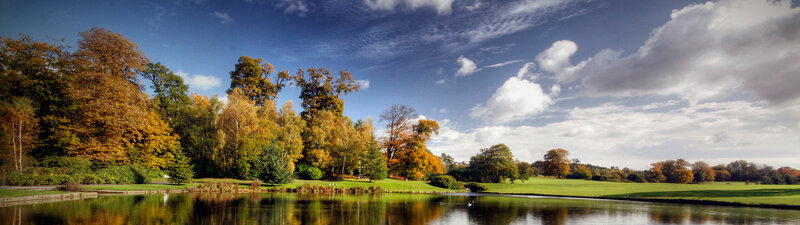 Autumn park with lake