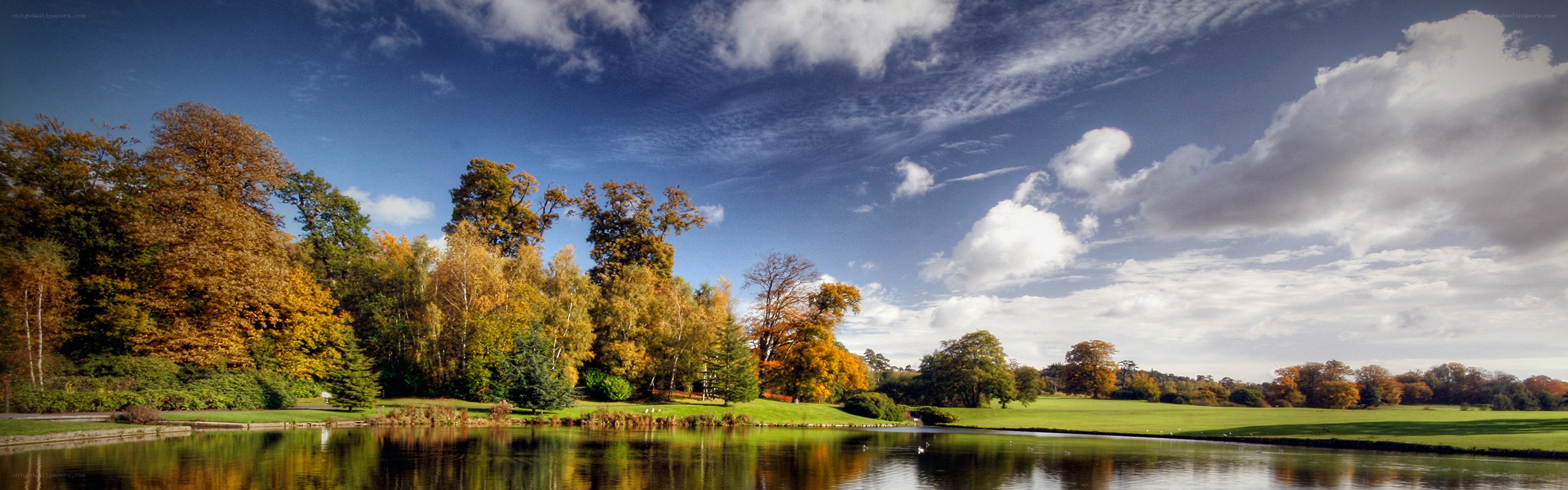 Autumn park with lake