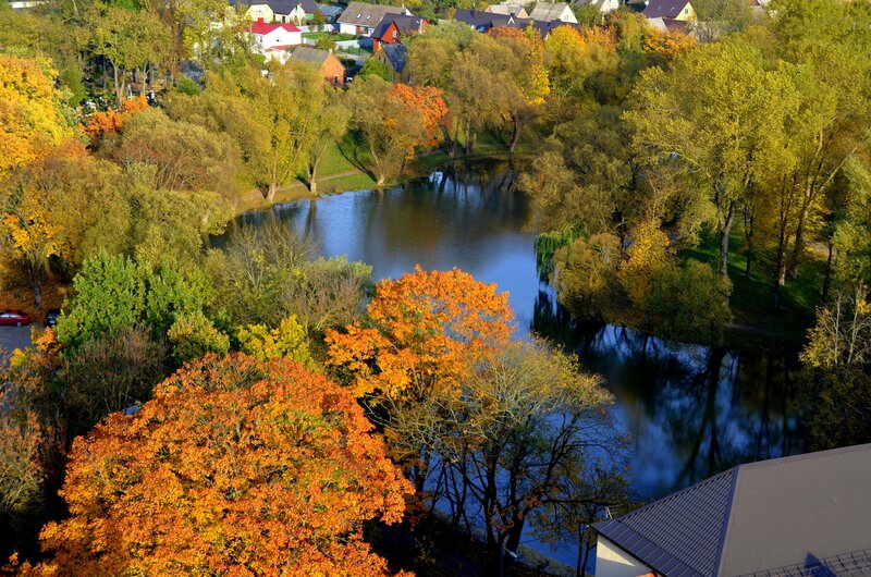 Autumn park with lake