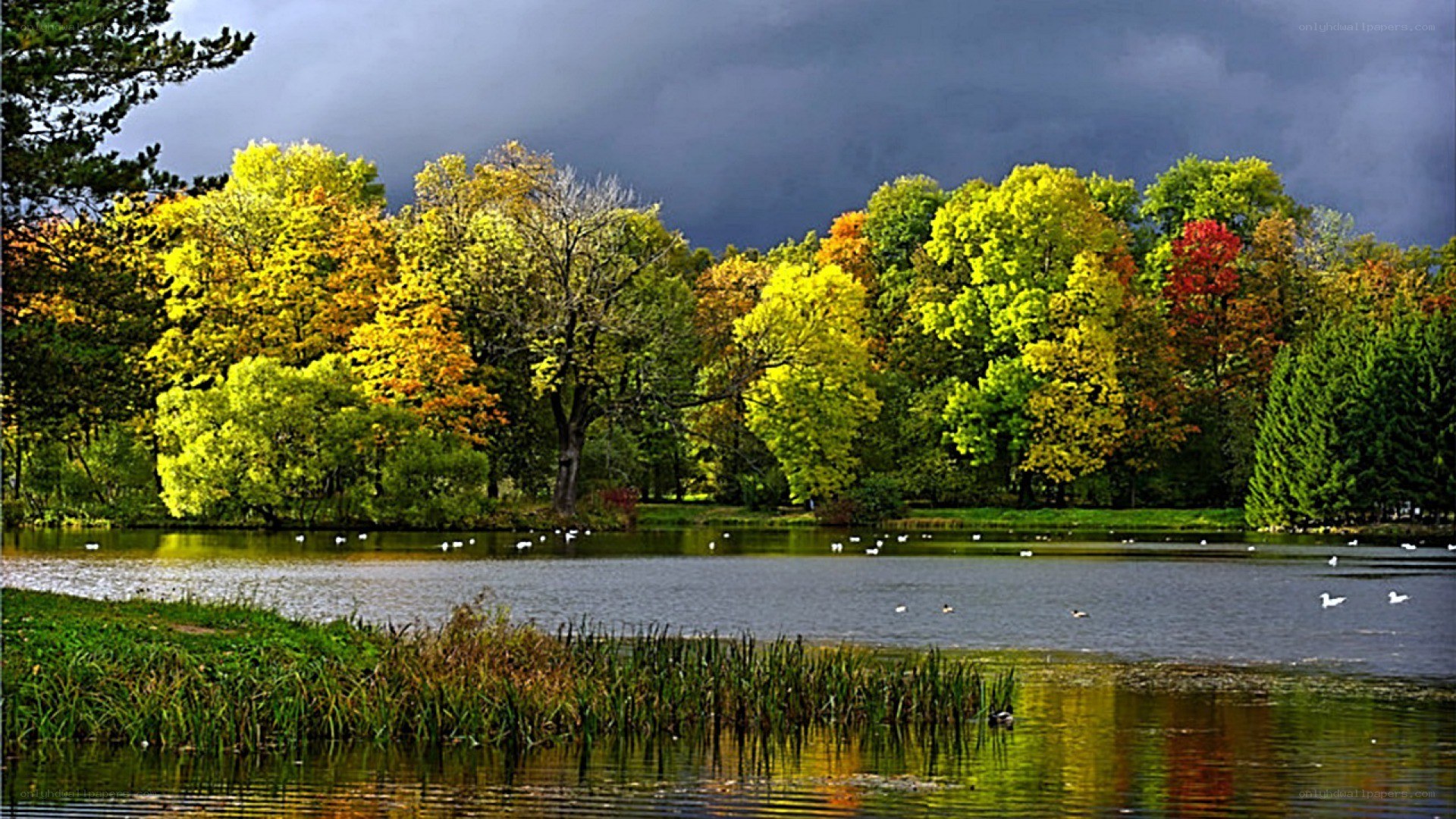 Autumn park with lake