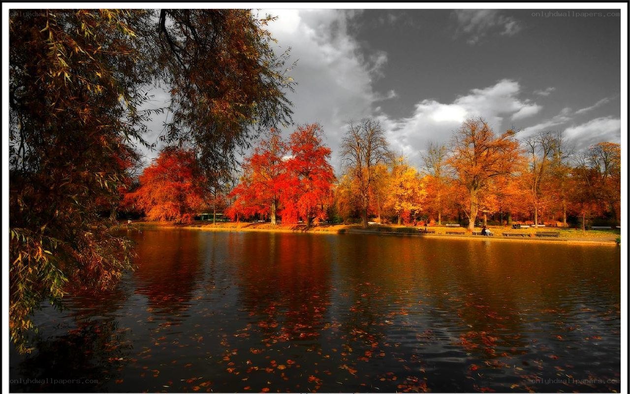 Autumn park with lake