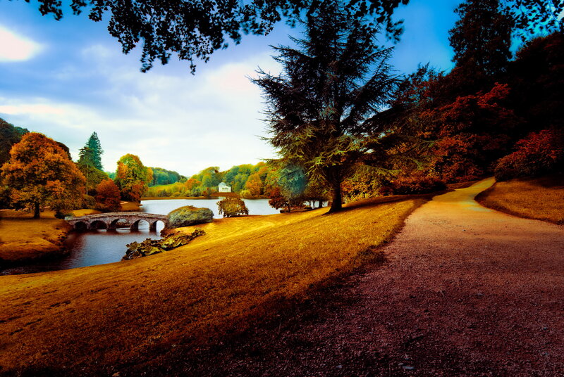 Autumn Park with Lake — Brown