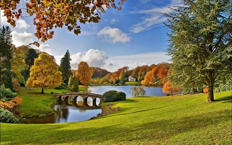 Autumn Park with Lake — Green, Serene, Photograph, Bridge