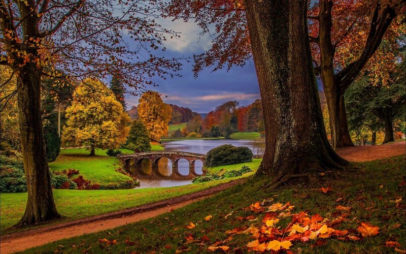 Autumn Park with Lake — Green, Serene, Photograph, Trees, Bridge, Path