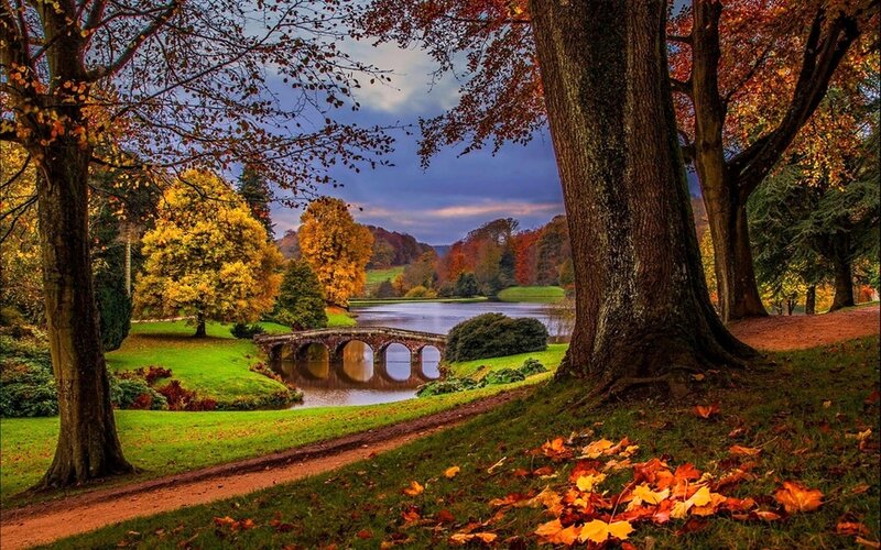 Autumn Park with Lake — Green, Serene, Photograph, Trees, Bridge
