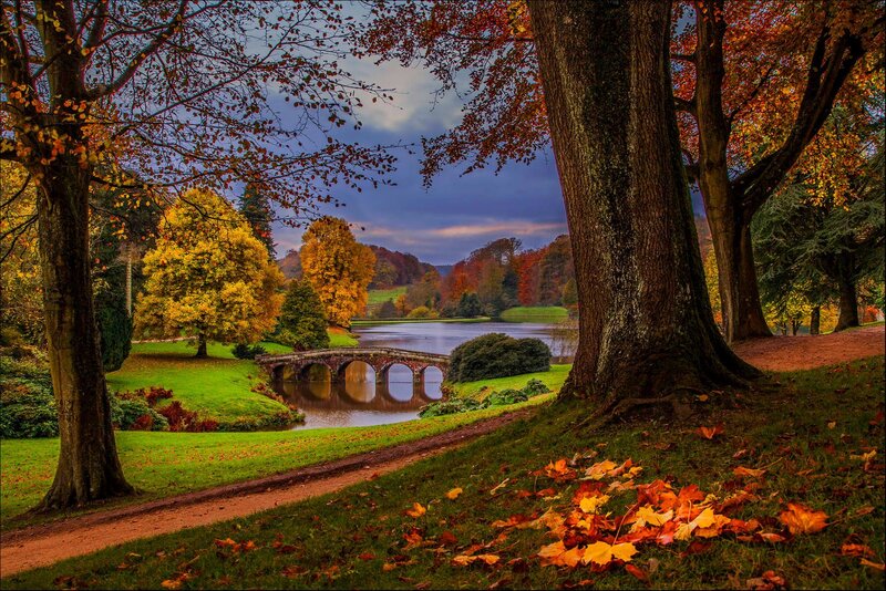 Autumn Park with Lake — Green, Serene, Photograph, Trees