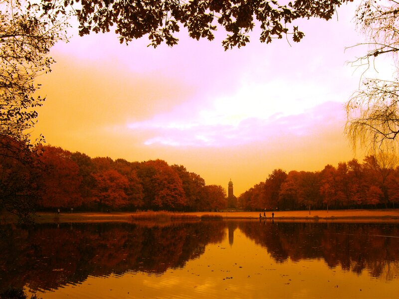 Autumn Park with Lake — Orange