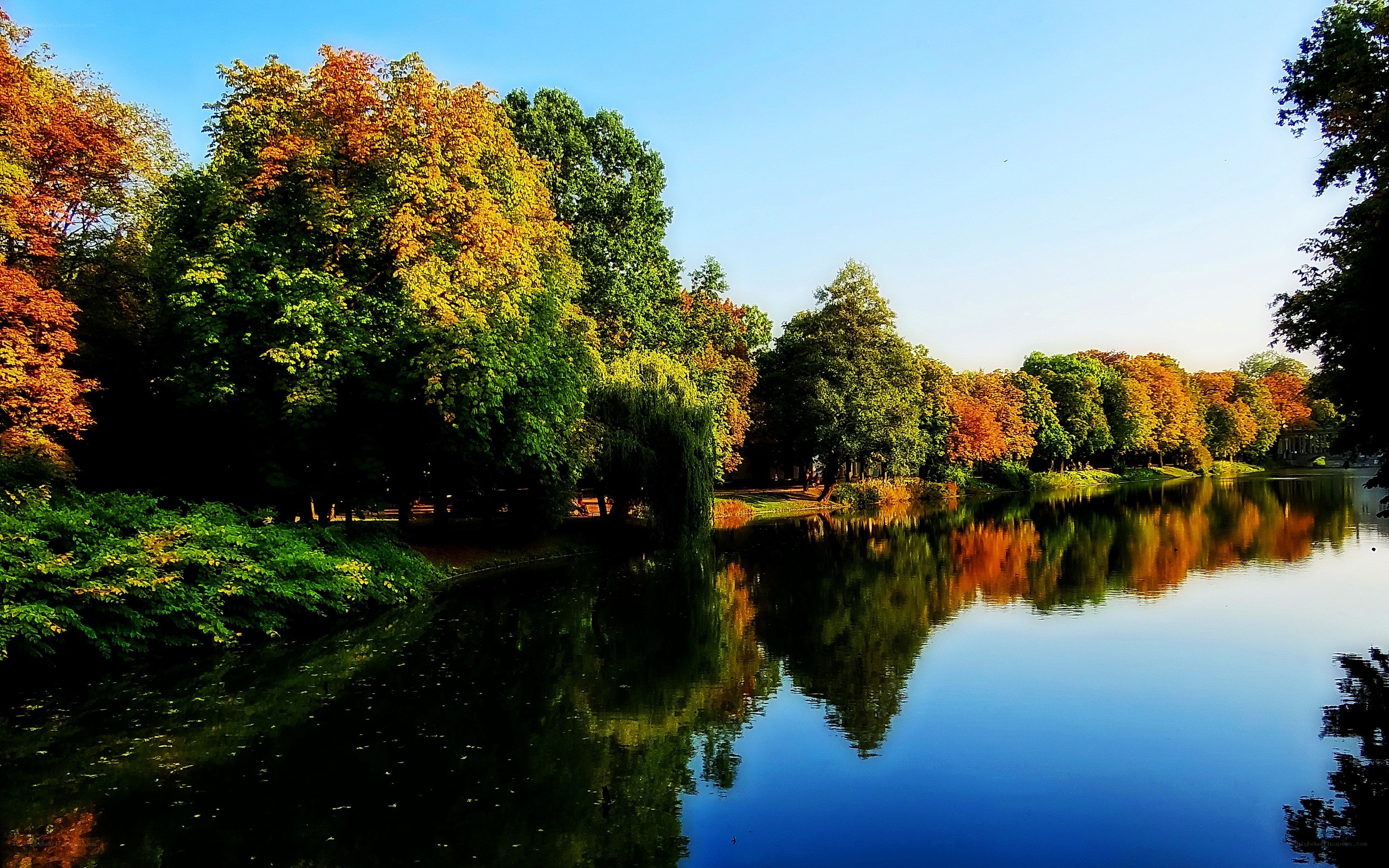 Autumn park with lake reflection