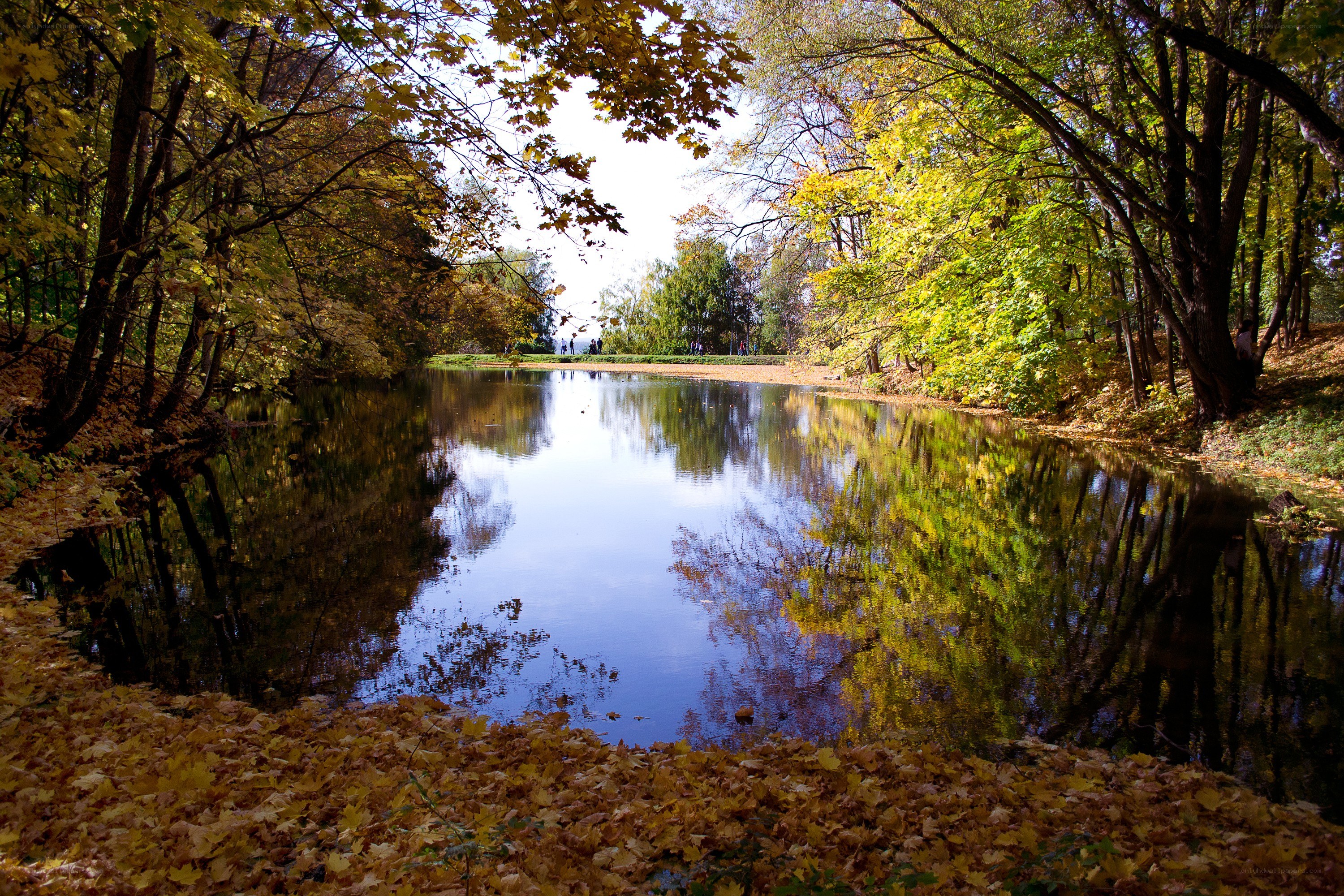 Autumn park with lake reflection