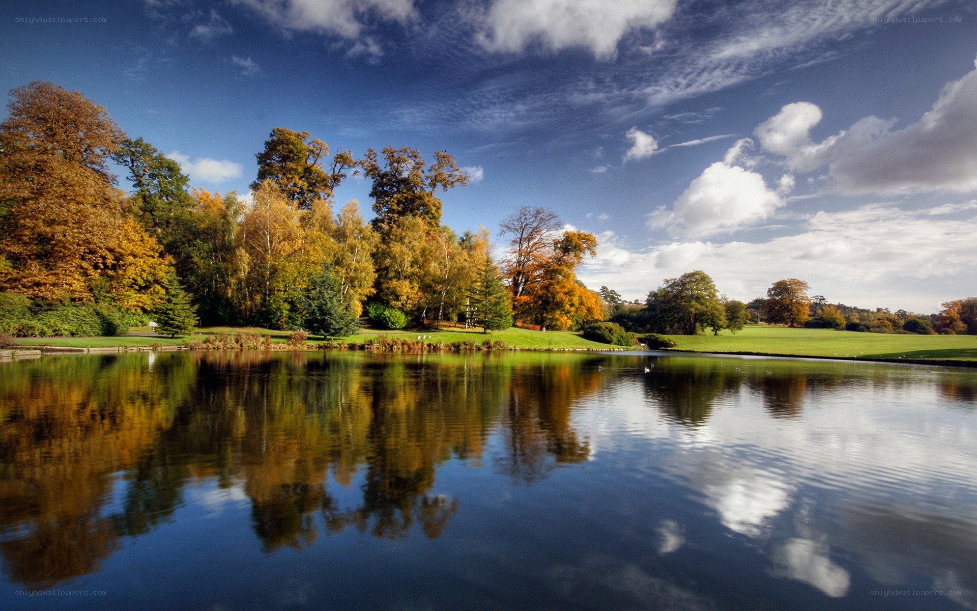 Autumn park with lake reflection