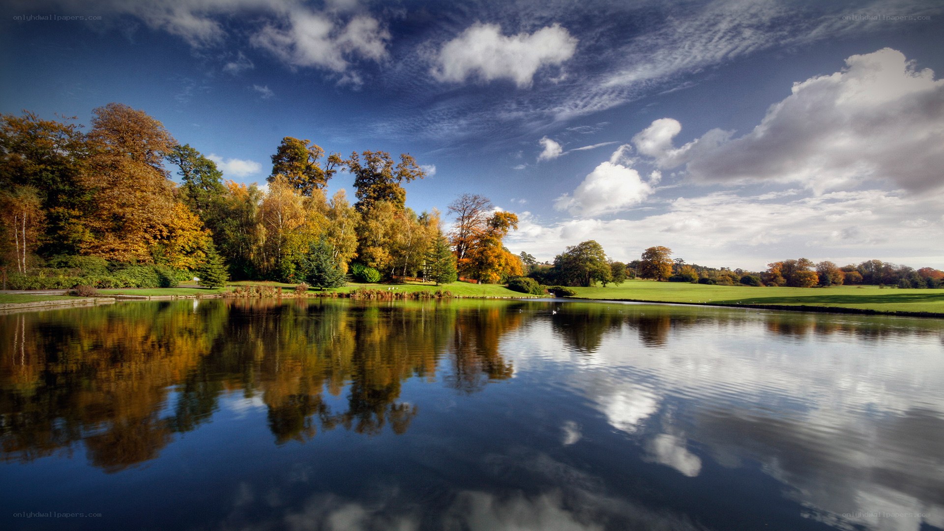 Autumn park with lake reflection