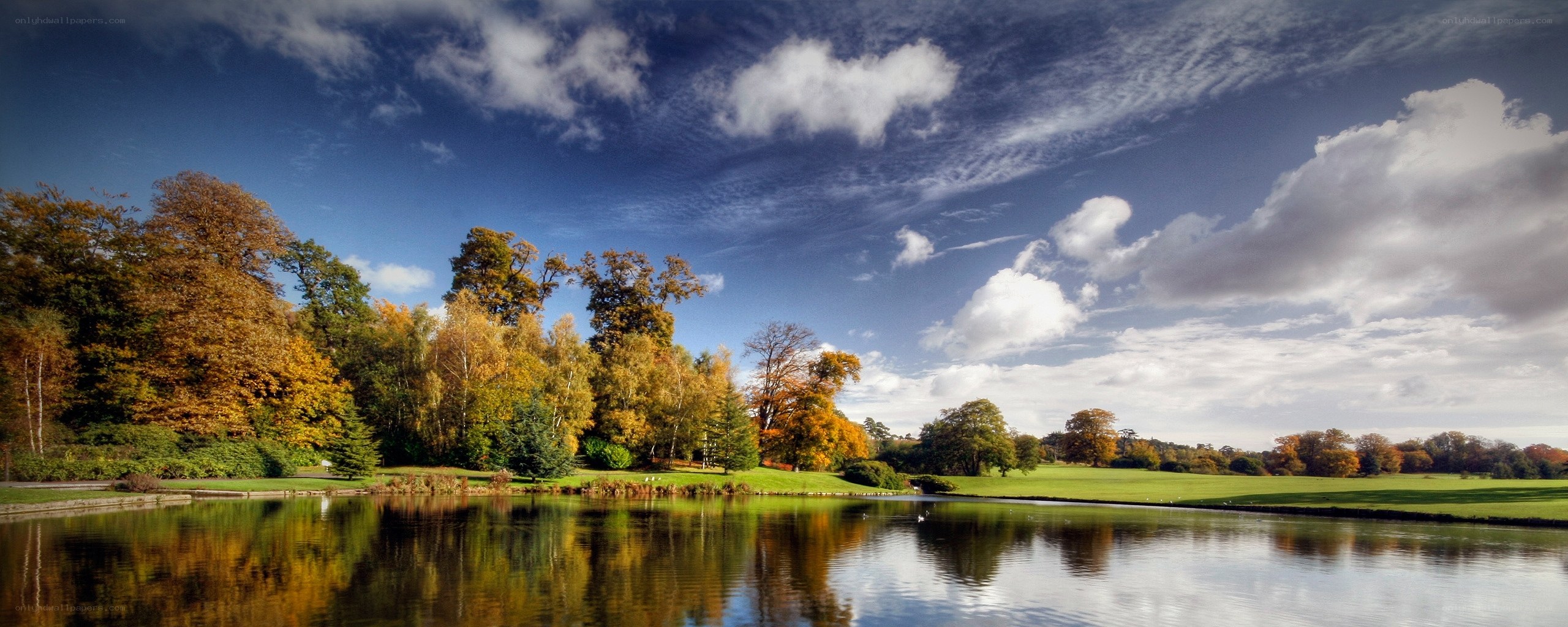 Autumn park with lake