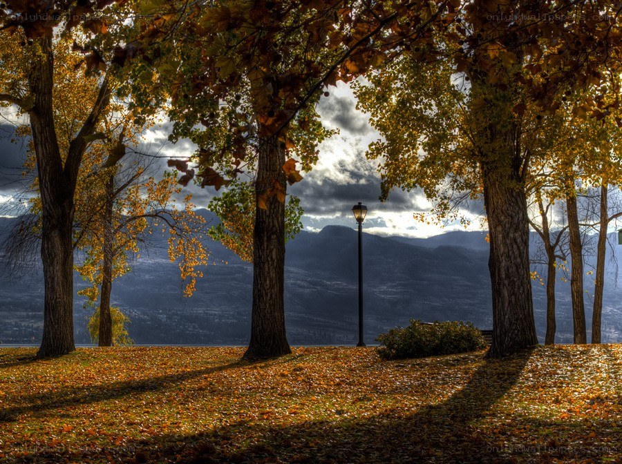 Autumn park with mountains