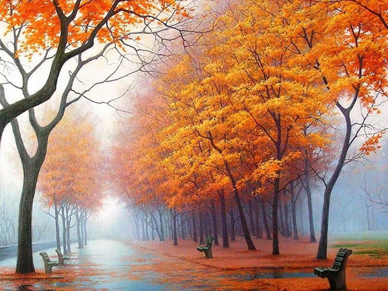 Autumn park with orange trees