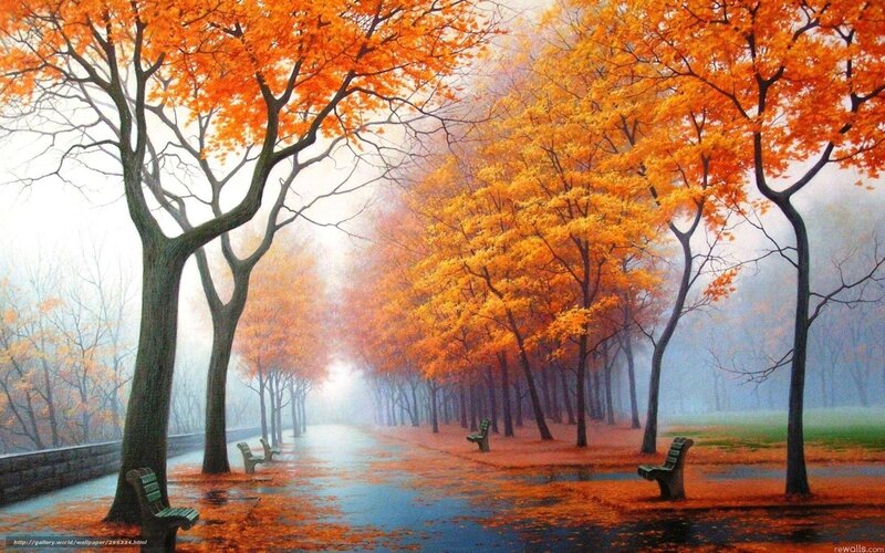 Autumn park with orange trees