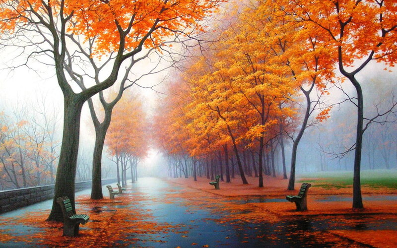 Autumn park with orange trees