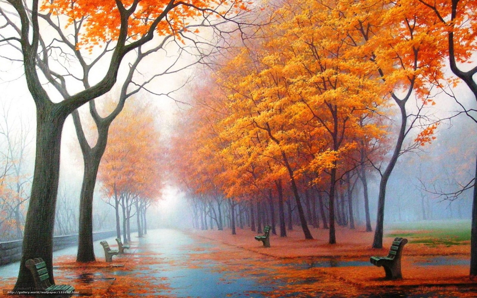 Autumn park with orange trees