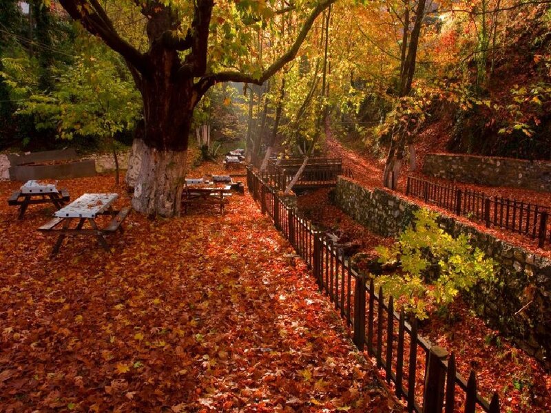 Autumn Park with Picnic Tables — Red