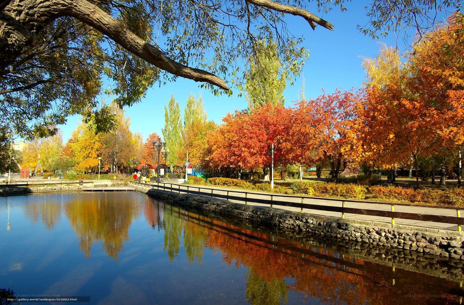 Autumn park with pond