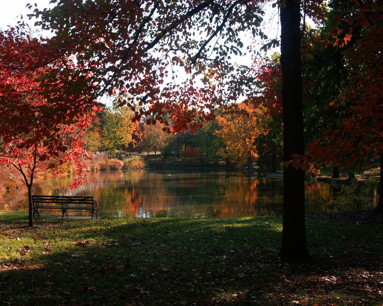 Autumn park with pond