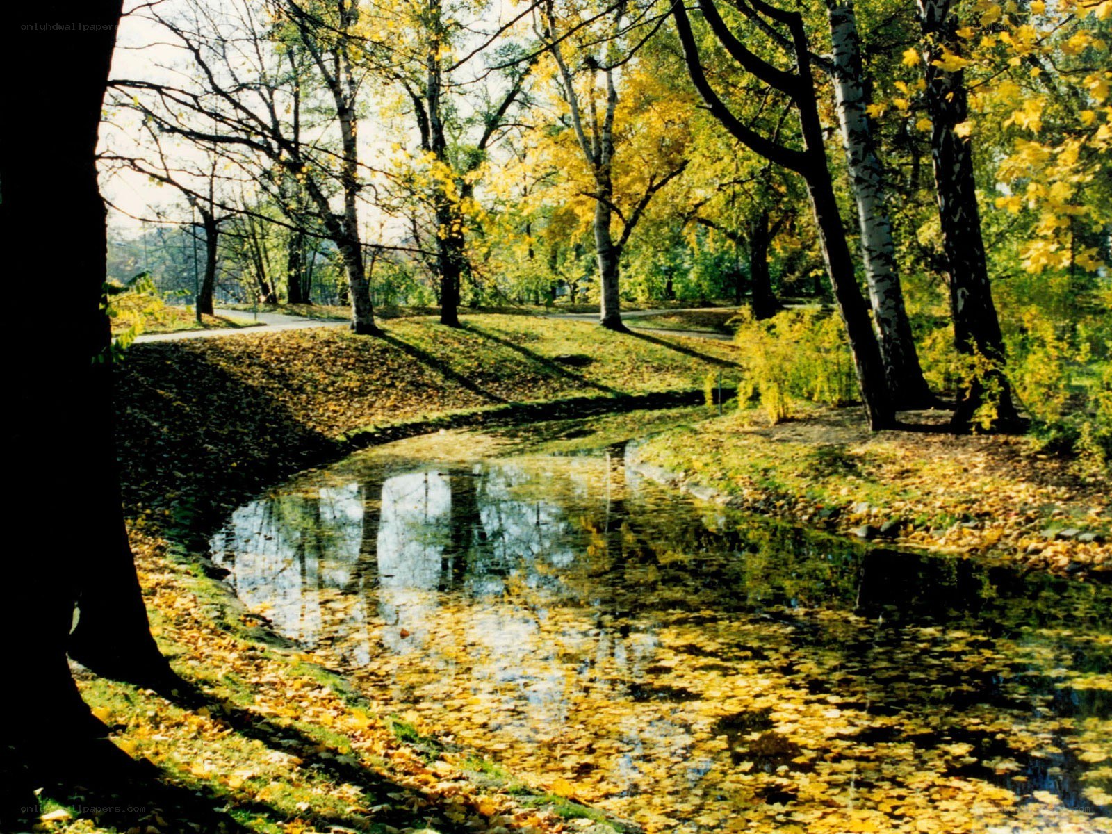 Autumn park with pond