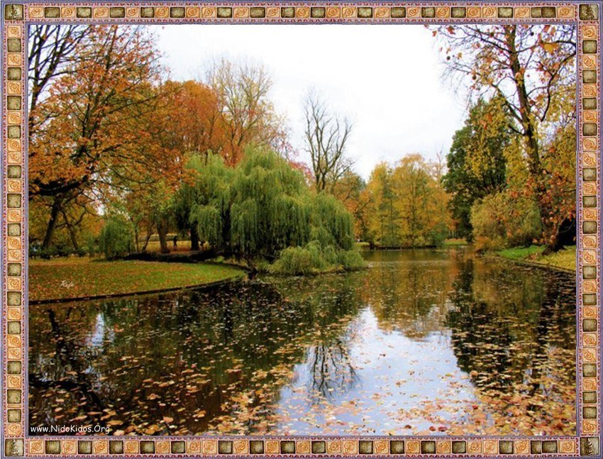Autumn park with pond