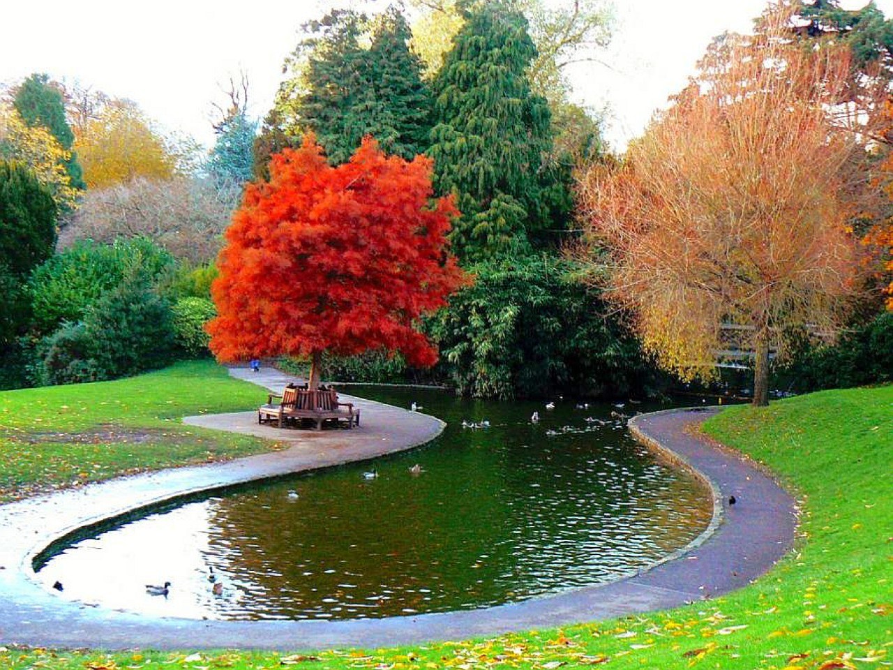 Autumn park with pond