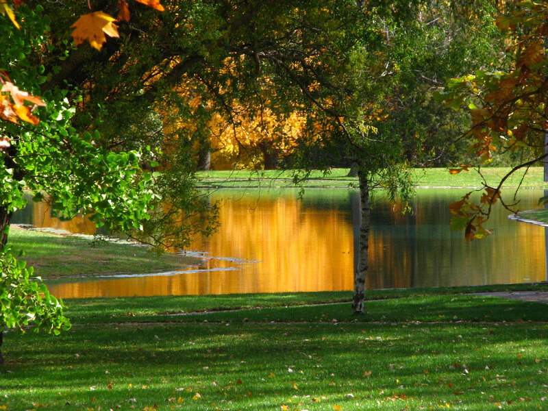 Autumn park with pond
