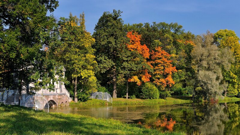 Autumn park with pond and bridge