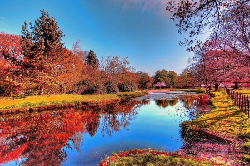 Autumn Park with Pond — Blue, Serene