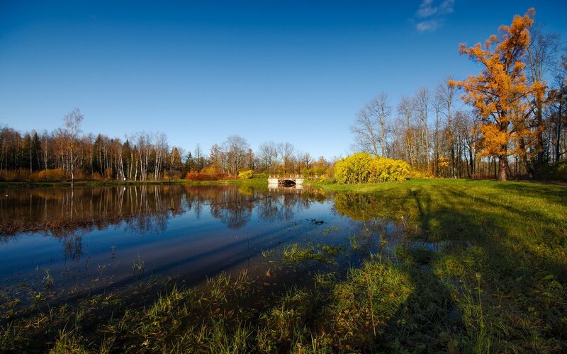 Autumn Park with Pond — Blue