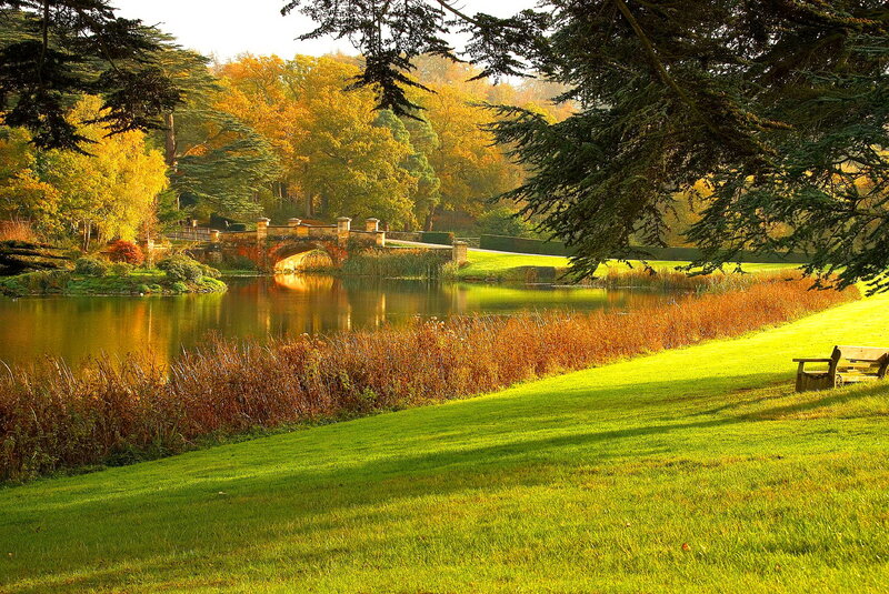 Autumn Park with Pond — Green, Serene