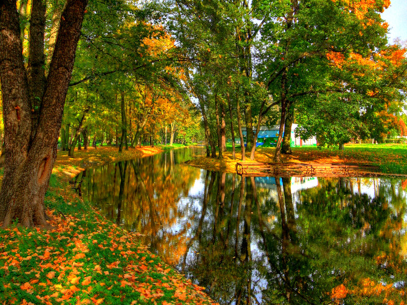 Autumn Park with Pond — Green