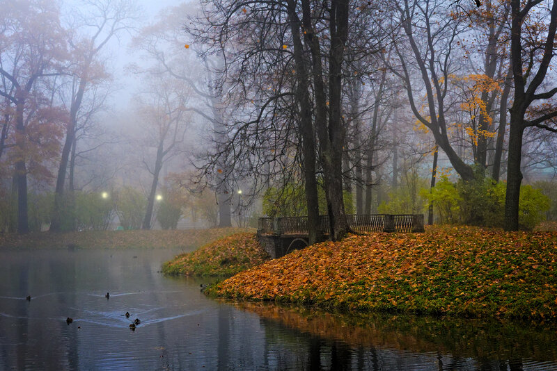 Autumn Park with Pond — Orange, Misty
