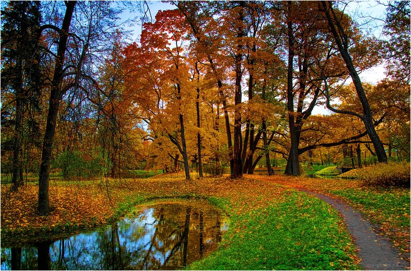 Autumn Park with Pond — Orange, Serene, Photograph, Trees, Path