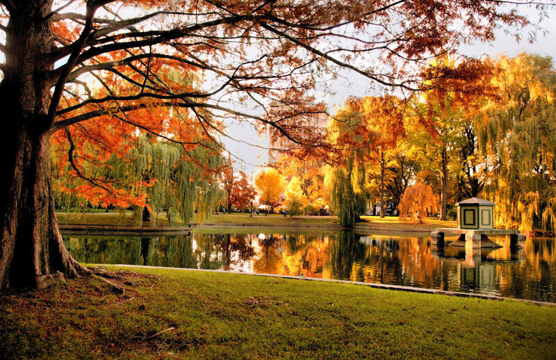 Autumn Park with Pond — Orange, Serene