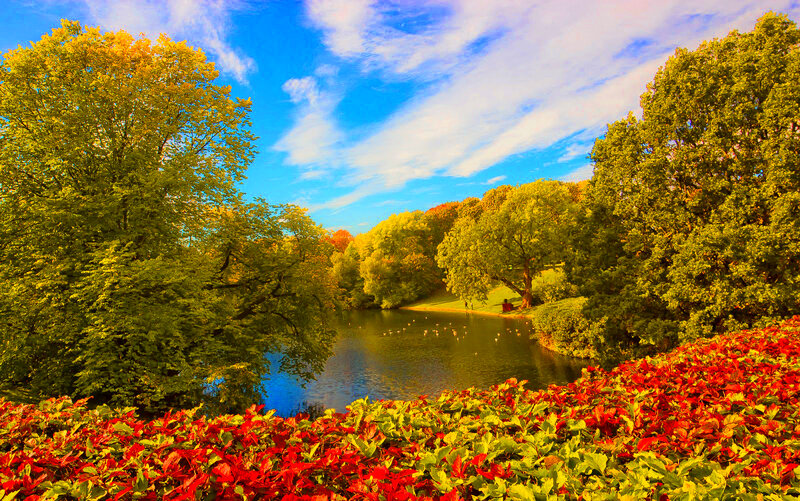 Autumn Park with Pond — Red, Serene