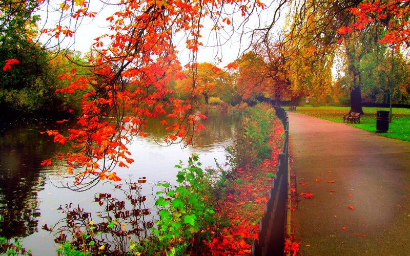 Autumn Park with Pond — Red