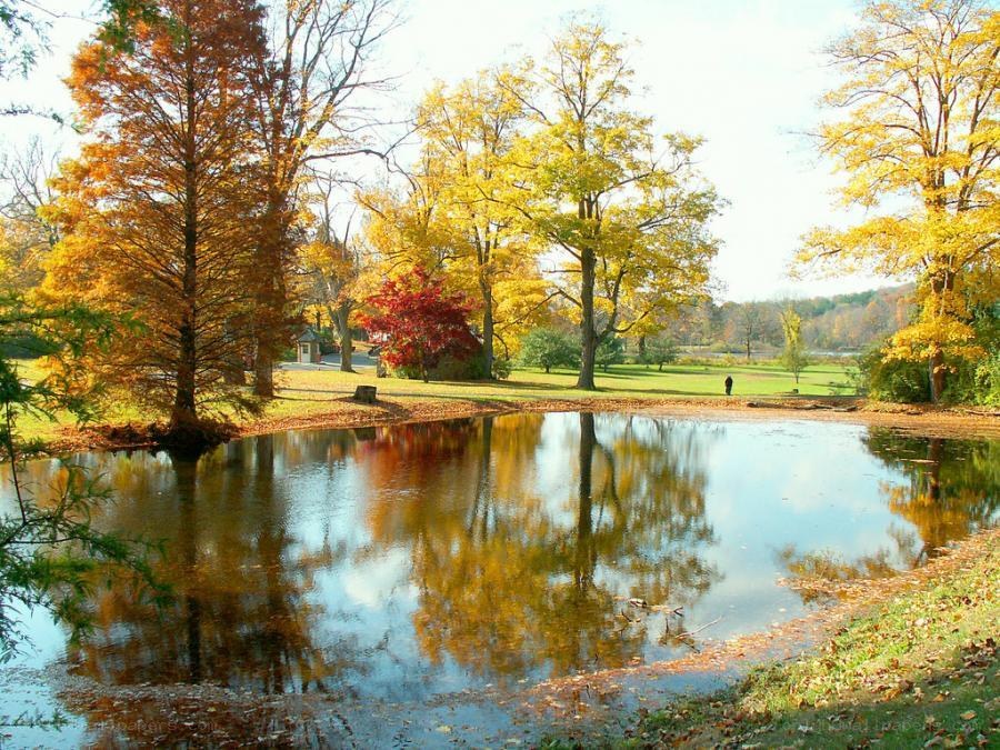 Autumn park with pond reflection